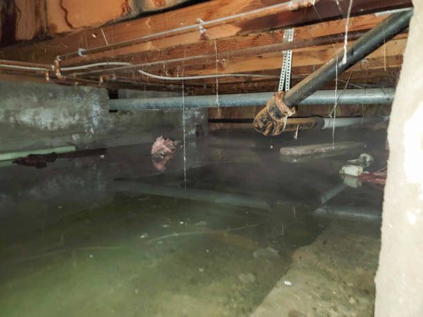 Best Residential water damage restoration  in Thousand Oaks, CA