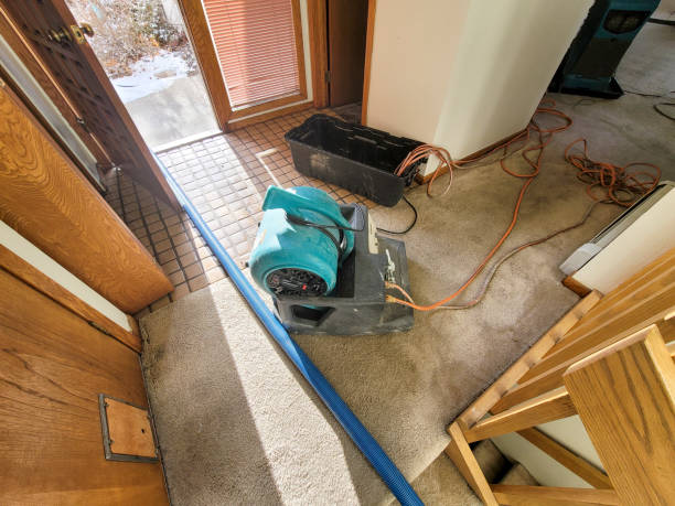 Best Residential water damage restoration  in Thousand Oaks, CA