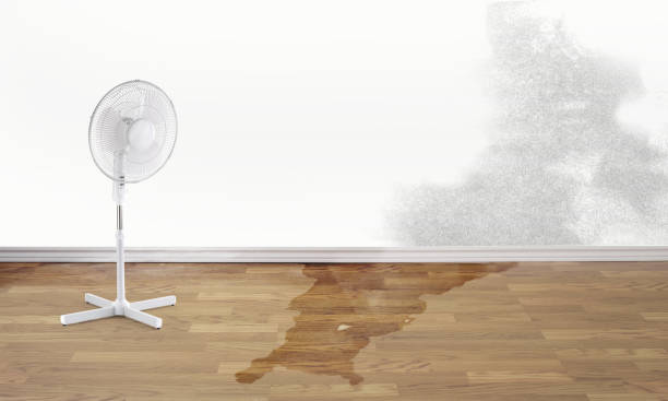 Best Professional water damage repair  in Thousand Oaks, CA