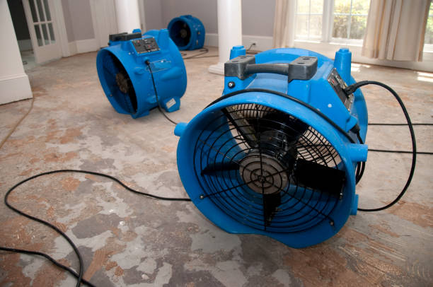 Best Local water damage restoration  in Thousand Oaks, CA
