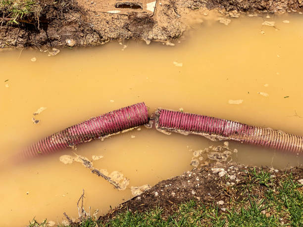 Professional Water damage restoration in CA