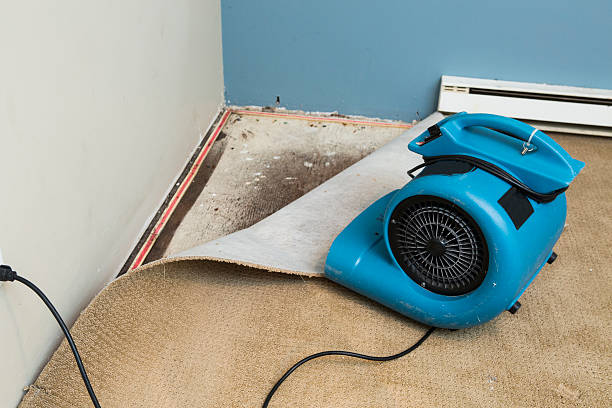 Sewage cleanup and water damage restoration in CA